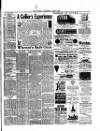 Crewe Guardian Wednesday 19 June 1889 Page 7