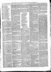 Congleton & Macclesfield Mercury, and Cheshire General Advertiser Saturday 24 December 1870 Page 3