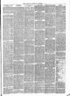 Congleton & Macclesfield Mercury, and Cheshire General Advertiser Saturday 18 October 1884 Page 7