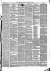 Congleton & Macclesfield Mercury, and Cheshire General Advertiser Saturday 02 January 1886 Page 3