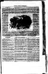 St. Neots Chronicle and Advertiser Saturday 25 August 1855 Page 11