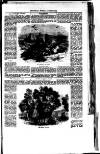 St. Neots Chronicle and Advertiser Saturday 01 September 1855 Page 9