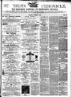 St. Neots Chronicle and Advertiser Saturday 01 November 1879 Page 1