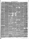 St. Neots Chronicle and Advertiser Saturday 29 November 1879 Page 3