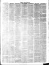St. Neots Chronicle and Advertiser Saturday 23 February 1884 Page 3