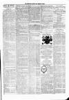 Jedburgh Gazette Saturday 01 January 1876 Page 3