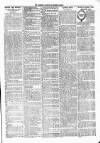 Jedburgh Gazette Saturday 08 January 1876 Page 3