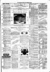 Jedburgh Gazette Saturday 08 January 1876 Page 7