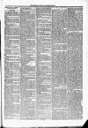 Jedburgh Gazette Saturday 19 February 1876 Page 3