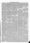Jedburgh Gazette Saturday 15 April 1876 Page 5