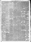 Jedburgh Gazette Saturday 03 March 1877 Page 3