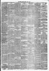 Jedburgh Gazette Saturday 06 April 1878 Page 3
