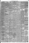Jedburgh Gazette Saturday 13 April 1878 Page 3