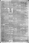 Jedburgh Gazette Saturday 25 January 1879 Page 3