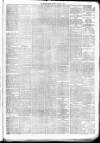 Jedburgh Gazette Saturday 17 January 1880 Page 3
