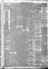 Jedburgh Gazette Saturday 31 January 1880 Page 3