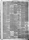 Jedburgh Gazette Saturday 06 March 1880 Page 3