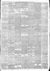 Jedburgh Gazette Saturday 15 March 1884 Page 3
