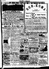 Pearson's Weekly Saturday 01 April 1893 Page 19