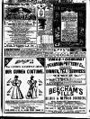 Pearson's Weekly Saturday 07 December 1895 Page 20