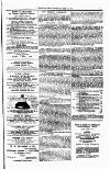 Clifton Society Thursday 21 May 1891 Page 11