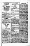 Clifton Society Thursday 02 July 1891 Page 13