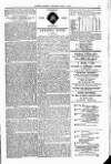 Clifton Society Thursday 02 May 1895 Page 15