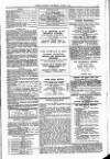 Clifton Society Thursday 06 June 1895 Page 13