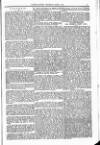 Clifton Society Thursday 06 June 1895 Page 15