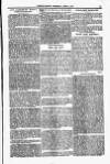 Clifton Society Thursday 08 April 1897 Page 15