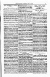 Clifton Society Thursday 13 April 1899 Page 13