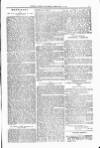 Clifton Society Thursday 21 February 1901 Page 13