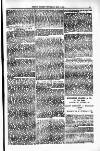 Clifton Society Thursday 04 May 1905 Page 13
