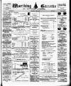Worthing Gazette Wednesday 15 July 1891 Page 1