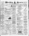 Worthing Gazette Wednesday 20 December 1893 Page 1
