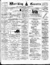 Worthing Gazette Wednesday 07 February 1894 Page 1