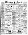 Worthing Gazette Wednesday 14 November 1894 Page 1