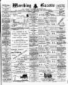 Worthing Gazette Wednesday 21 November 1894 Page 1