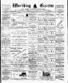 Worthing Gazette Wednesday 06 February 1895 Page 1