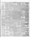 Worthing Gazette Wednesday 13 March 1895 Page 5