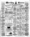 Worthing Gazette Wednesday 02 August 1899 Page 1