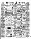 Worthing Gazette Wednesday 14 November 1900 Page 1