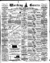 Worthing Gazette Wednesday 28 November 1900 Page 1