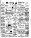 Worthing Gazette Wednesday 29 January 1902 Page 1