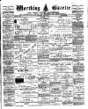 Worthing Gazette Wednesday 29 June 1904 Page 1