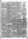 Christchurch Times Saturday 18 January 1868 Page 5