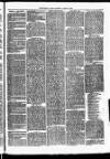 Christchurch Times Saturday 13 March 1869 Page 3