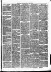 Christchurch Times Saturday 10 April 1869 Page 3