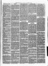 Christchurch Times Saturday 11 September 1869 Page 5