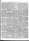 Christchurch Times Saturday 23 October 1869 Page 3